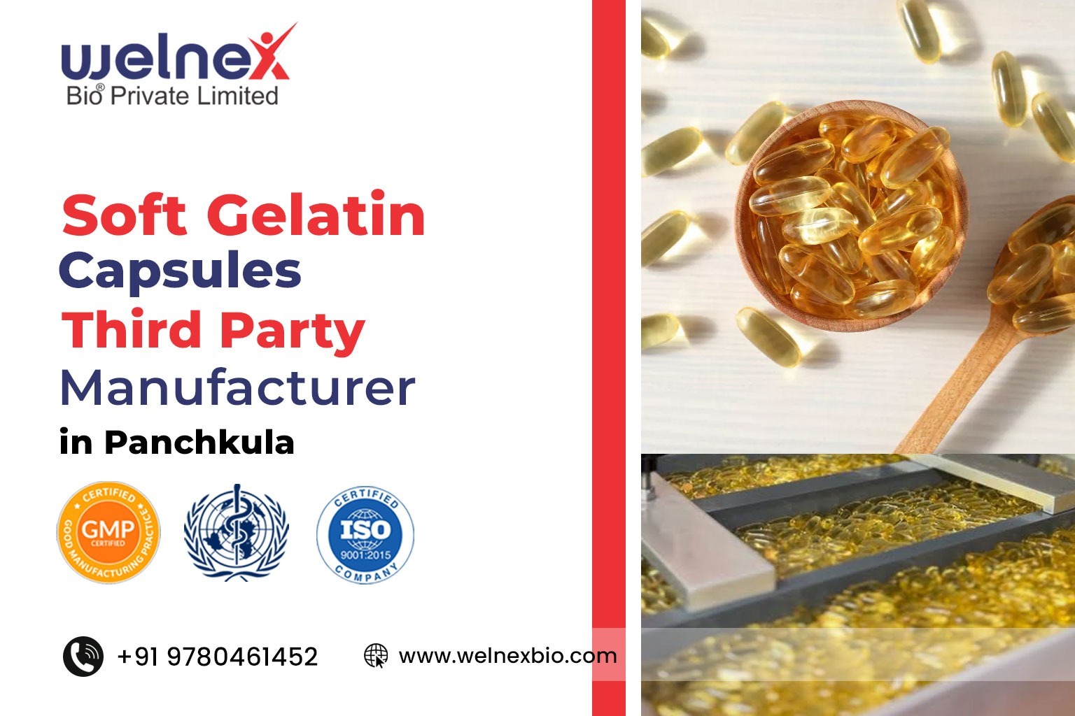 Soft Gelatin Capsules Third Party Manufacturer in Panchkula — Complete 2026 Guide